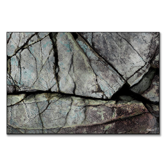 Understory