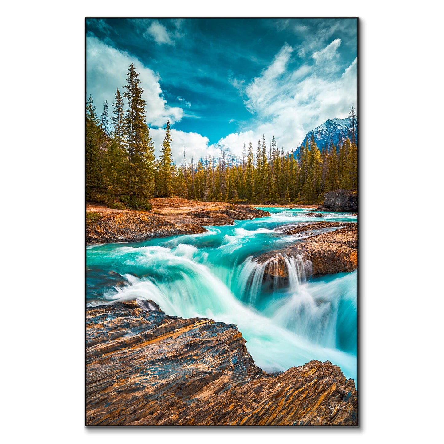 Rocky stream with aqua blue waters flowing over rocks, surrounded by trees and under a blue sky.