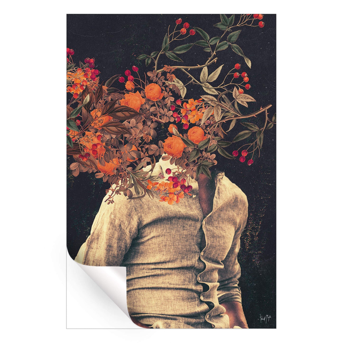 Roots