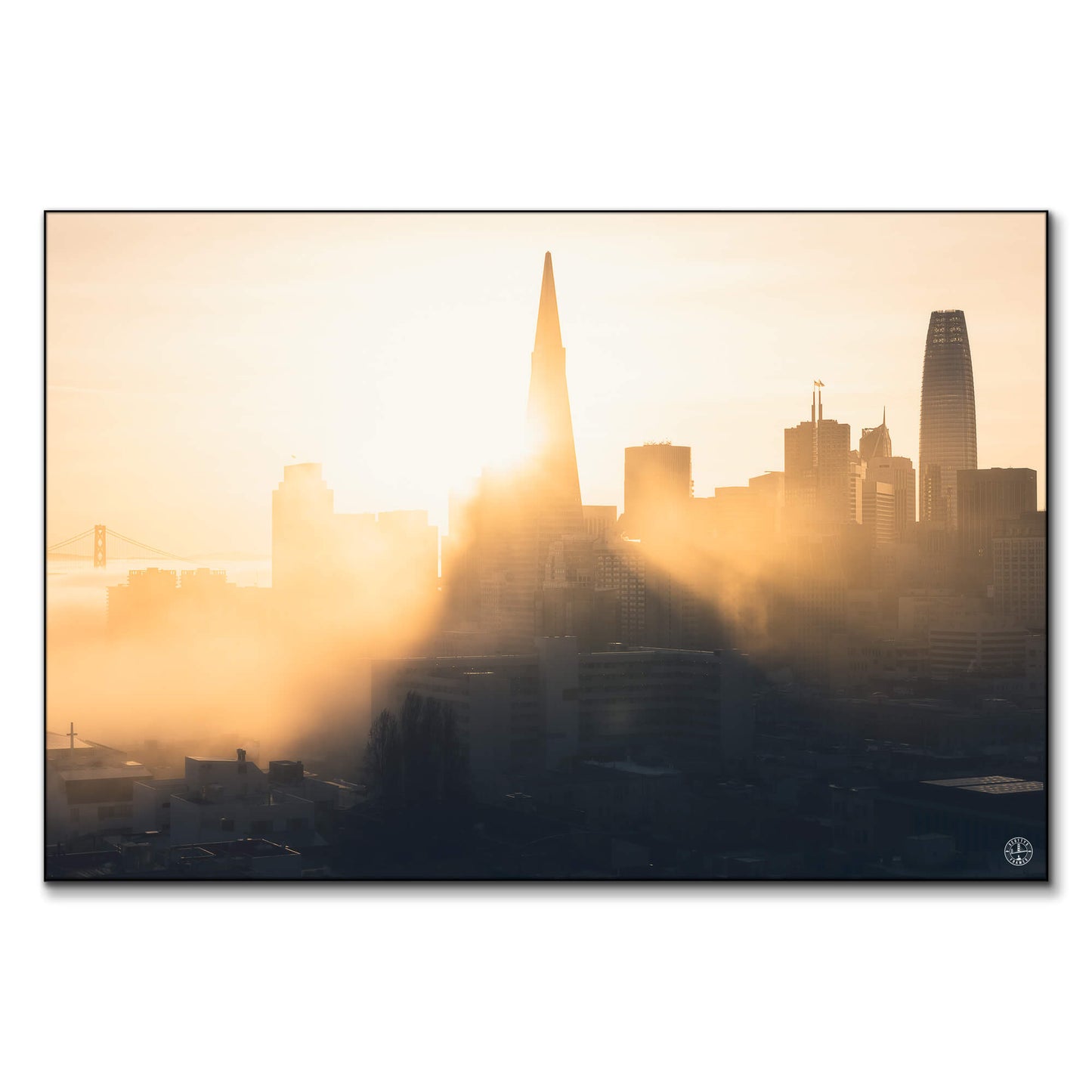 Morning Rays