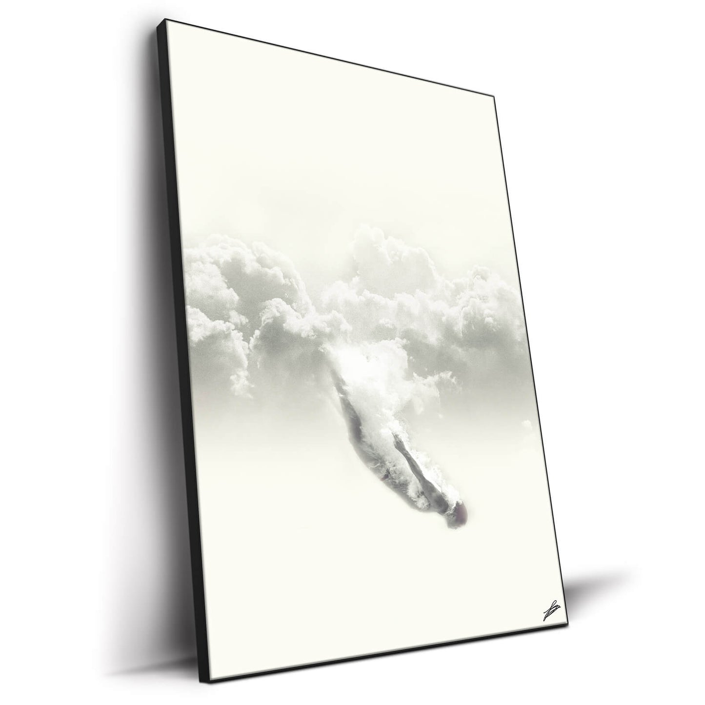 Sky-Diver