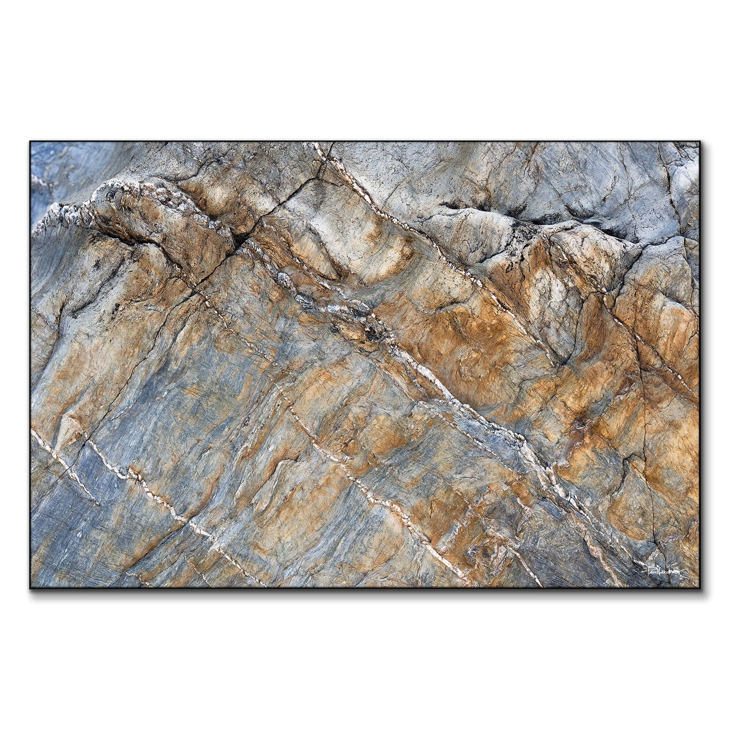 Terrascape