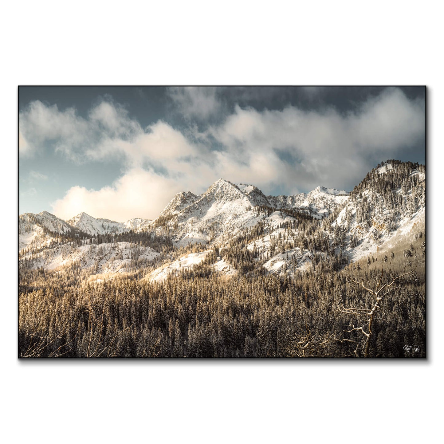 Snowy Peaks