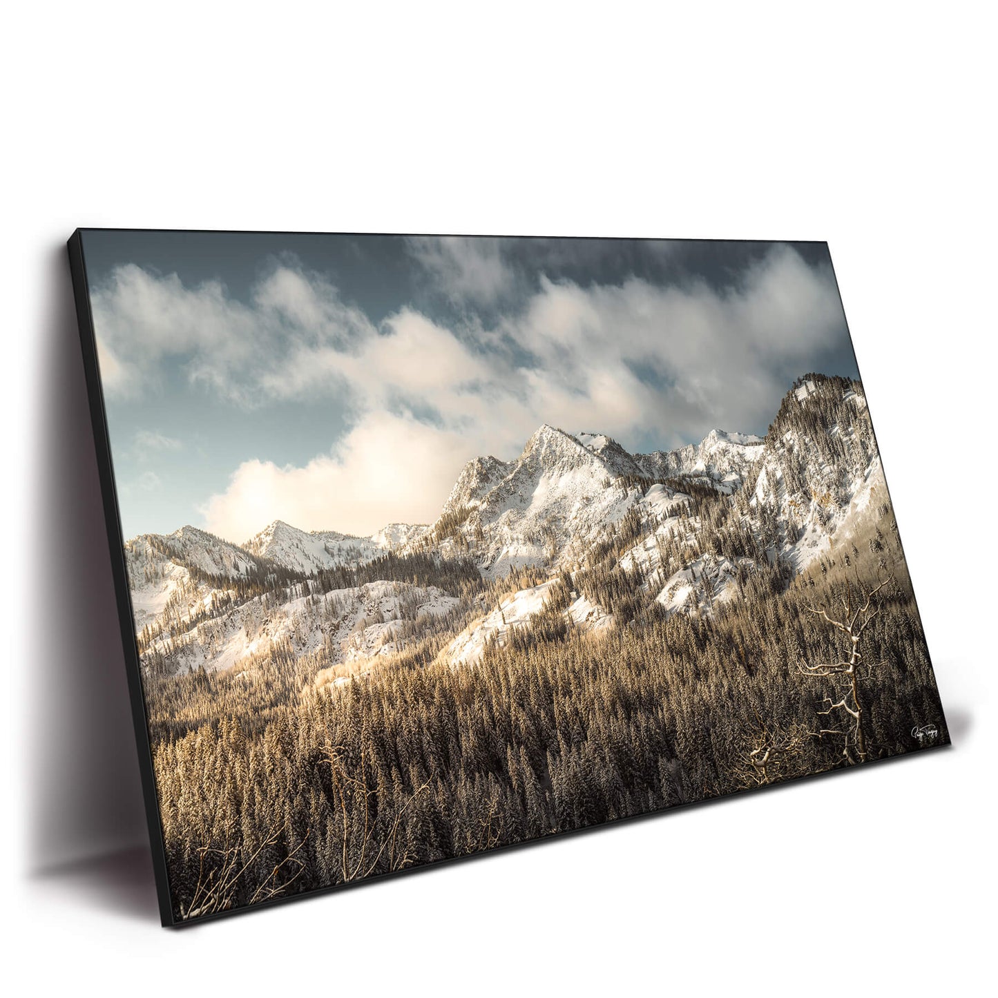 Snowy Peaks