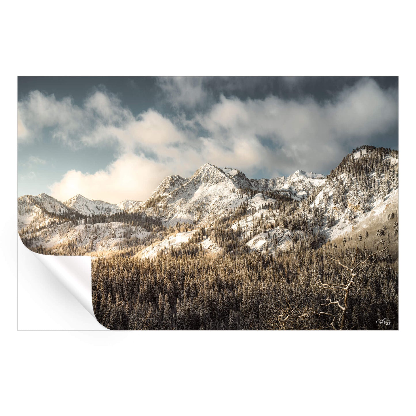 Snowy Peaks