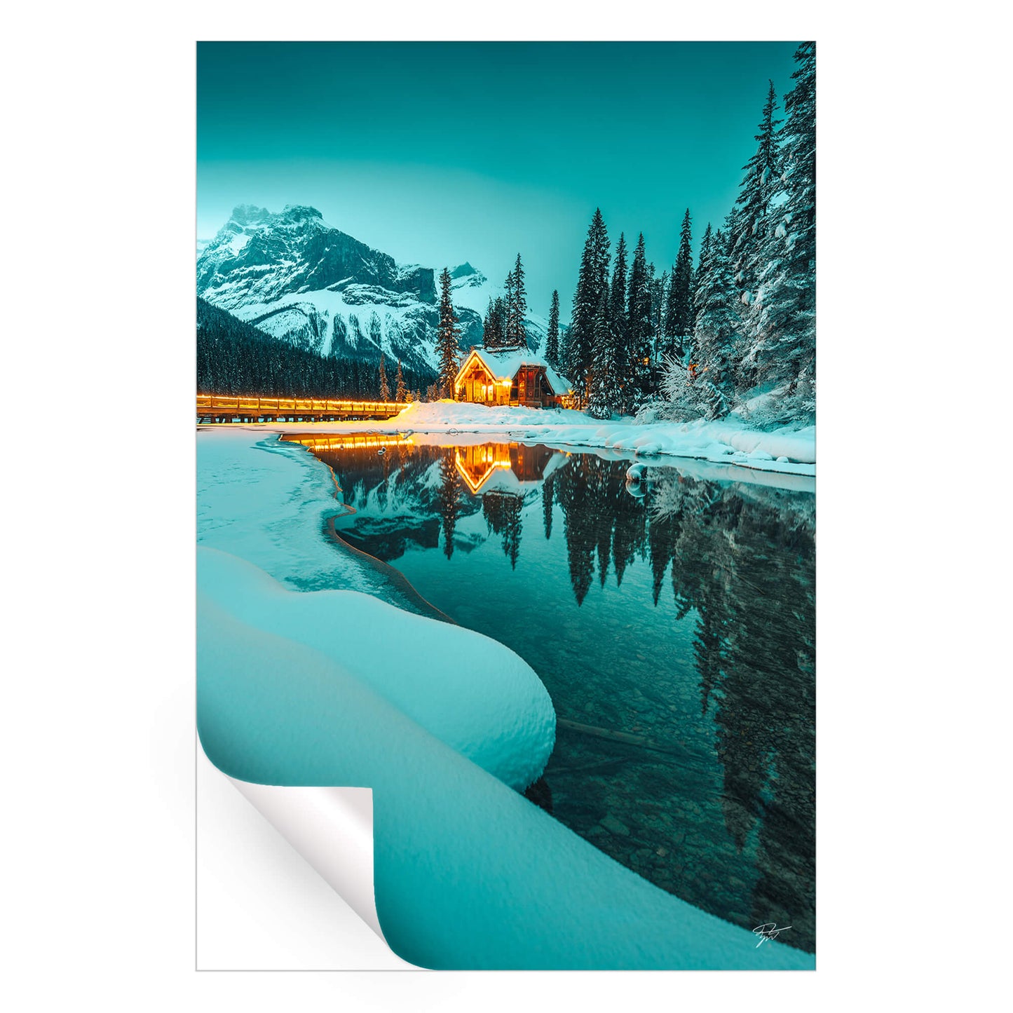 Winter Refuge