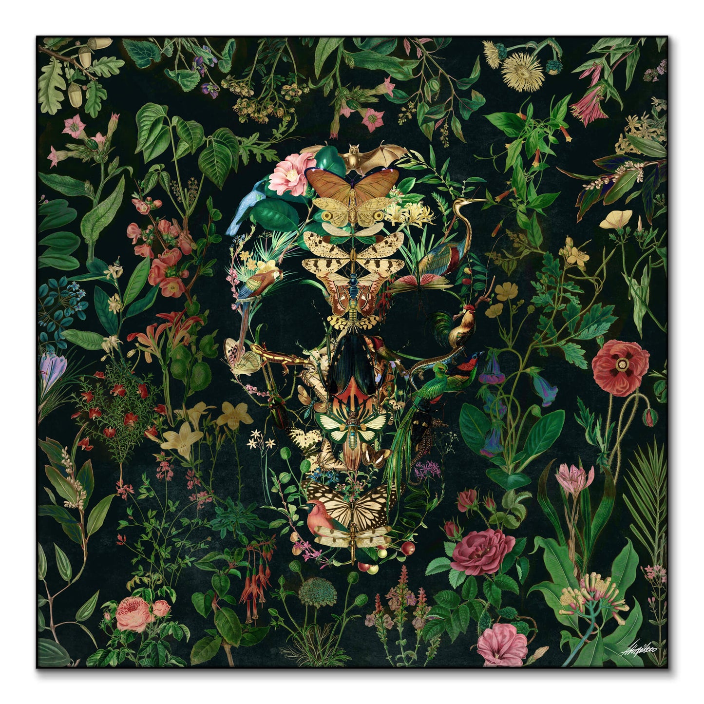 Papilion Skull