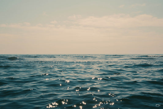 Michigan's Lake