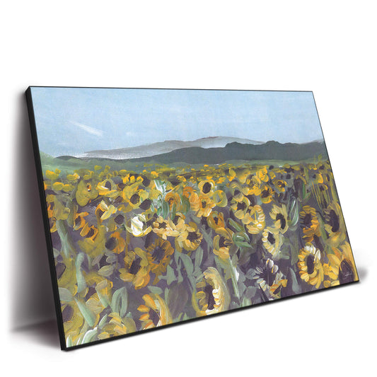 Sunflower Fields