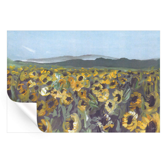 Sunflower Fields
