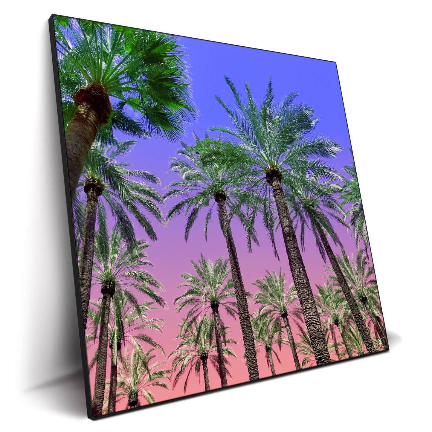 Desert Sun