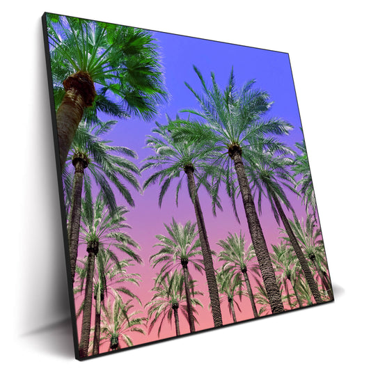 Desert Sun