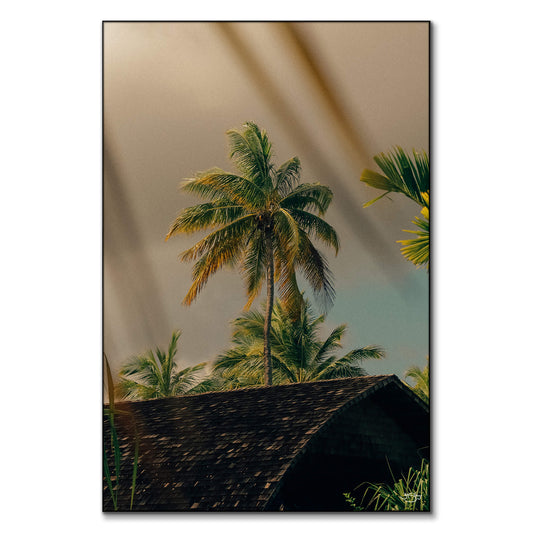 After the Rain
