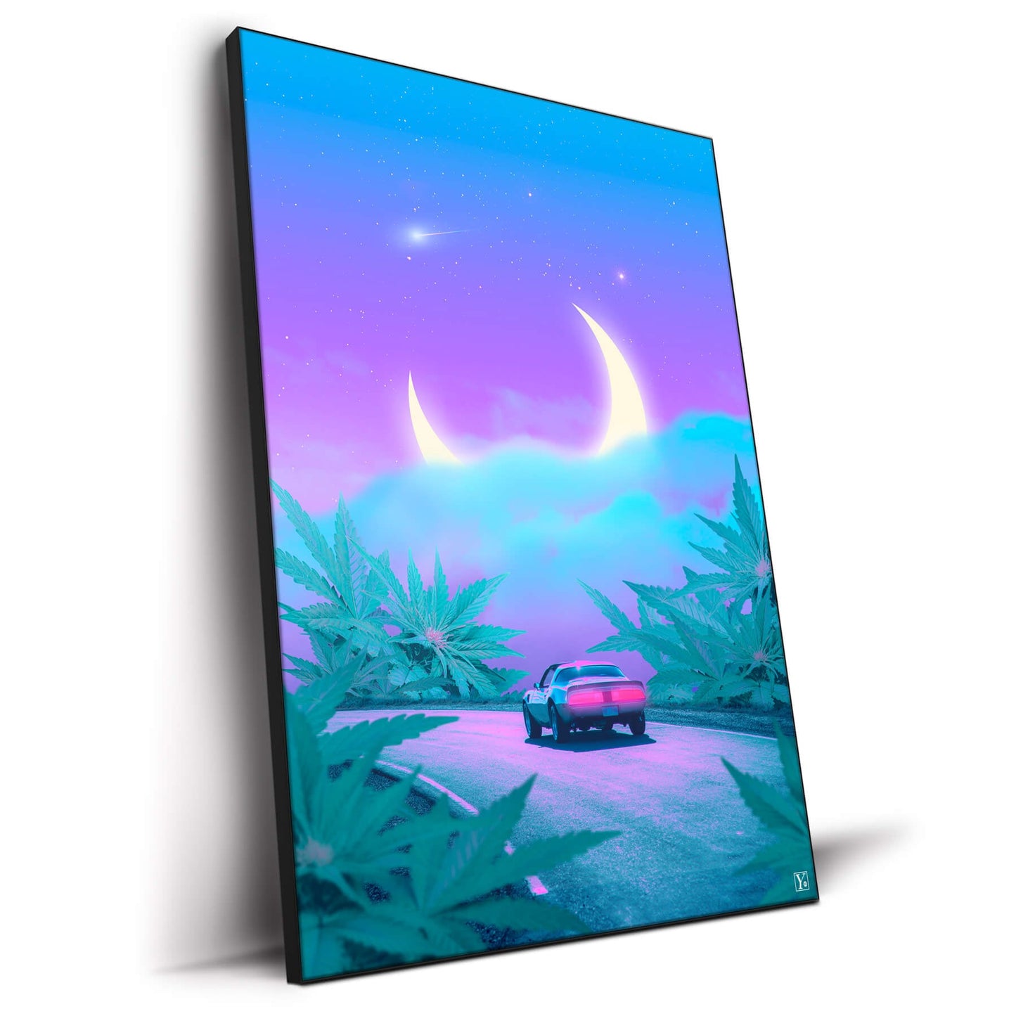 Moonweed Road