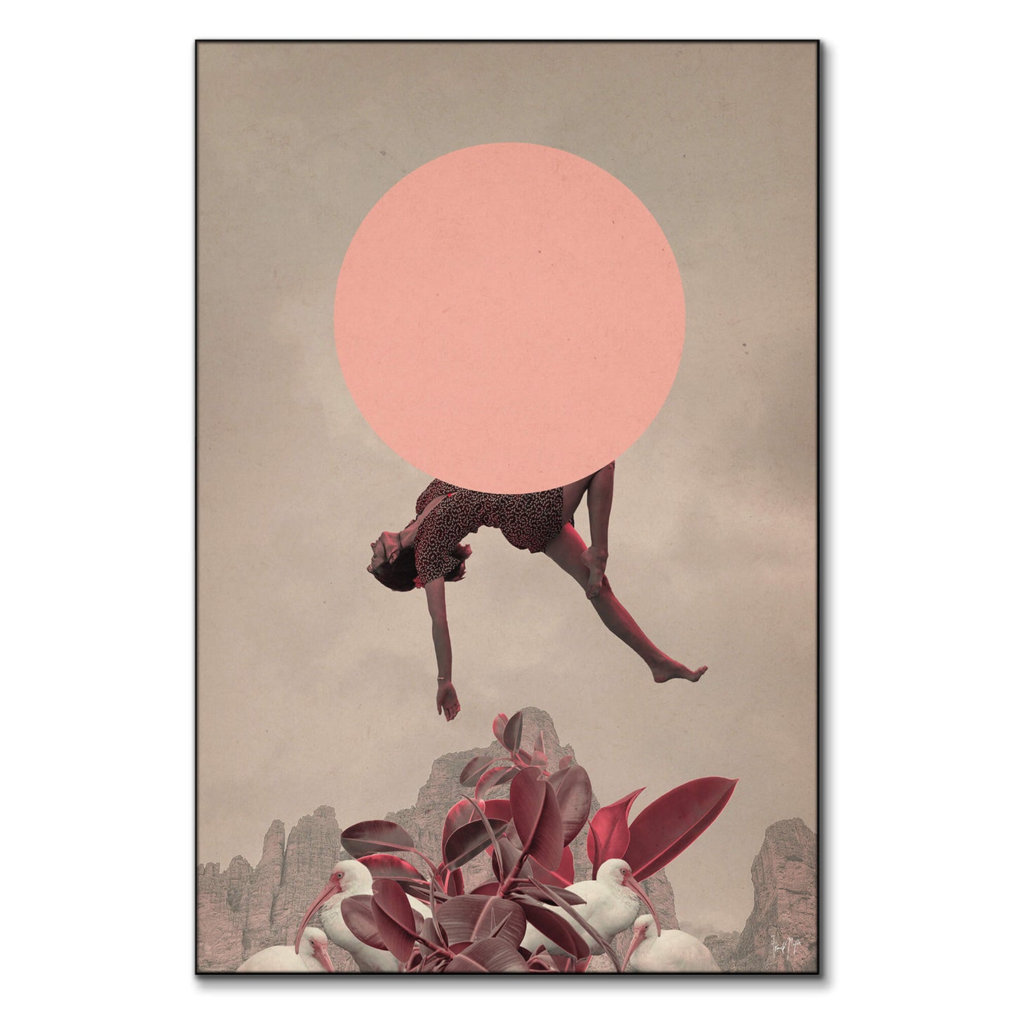 The Fall