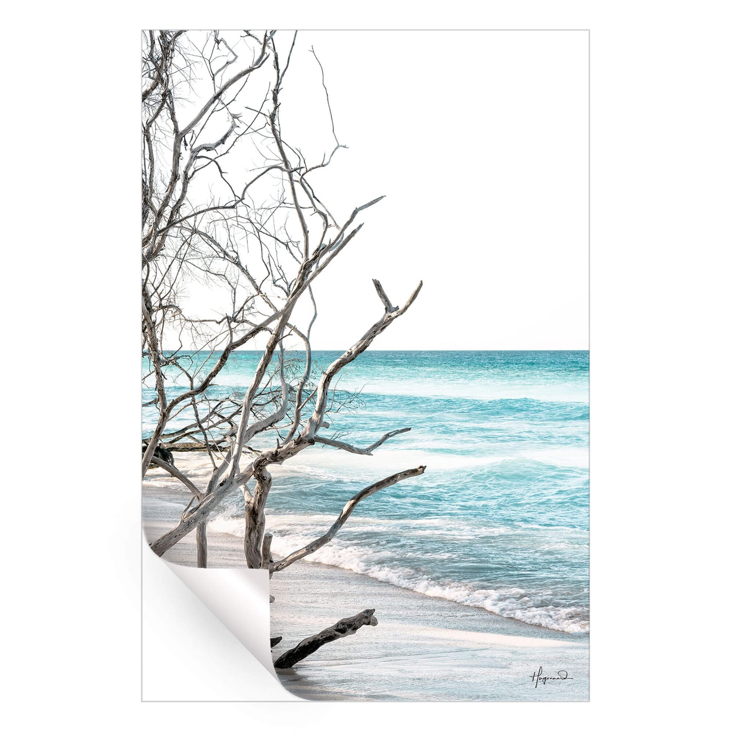 The Wild Beach