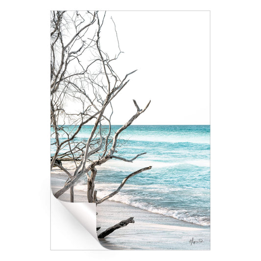 The Wild Beach