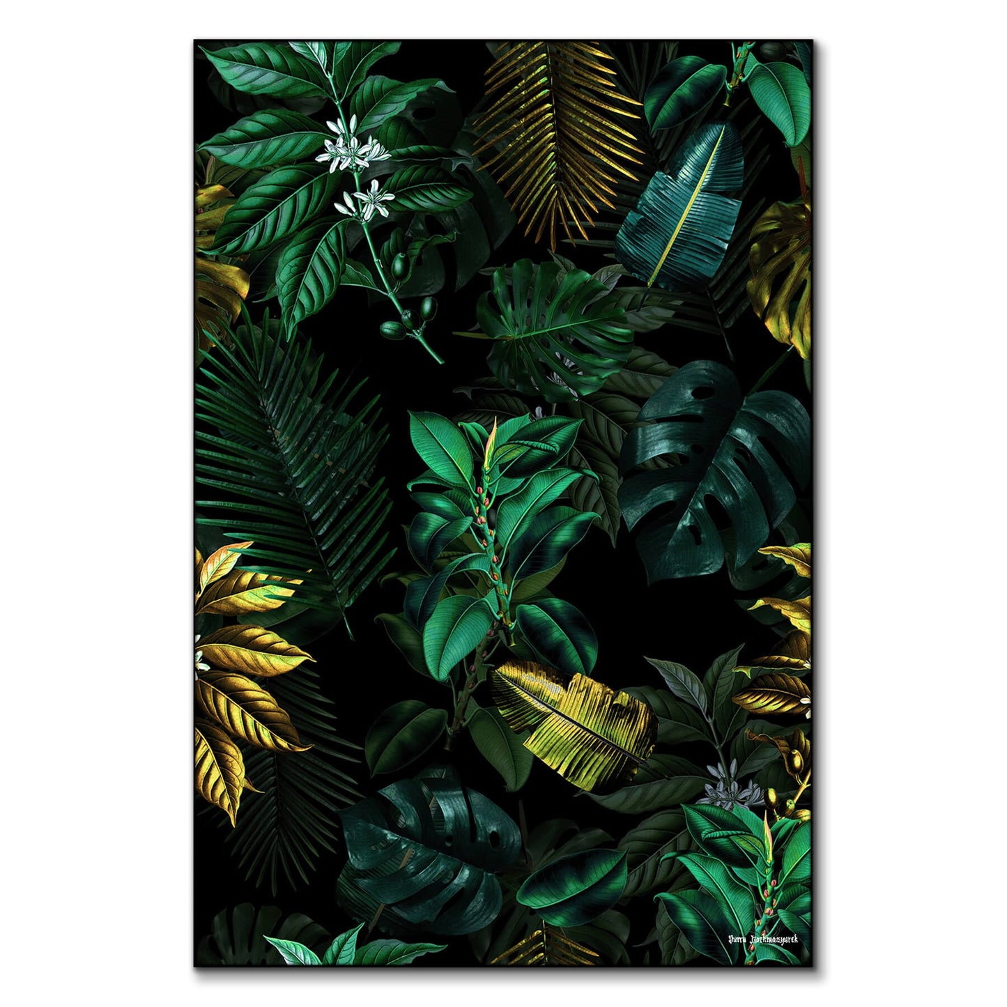 Tropical Garden VIII