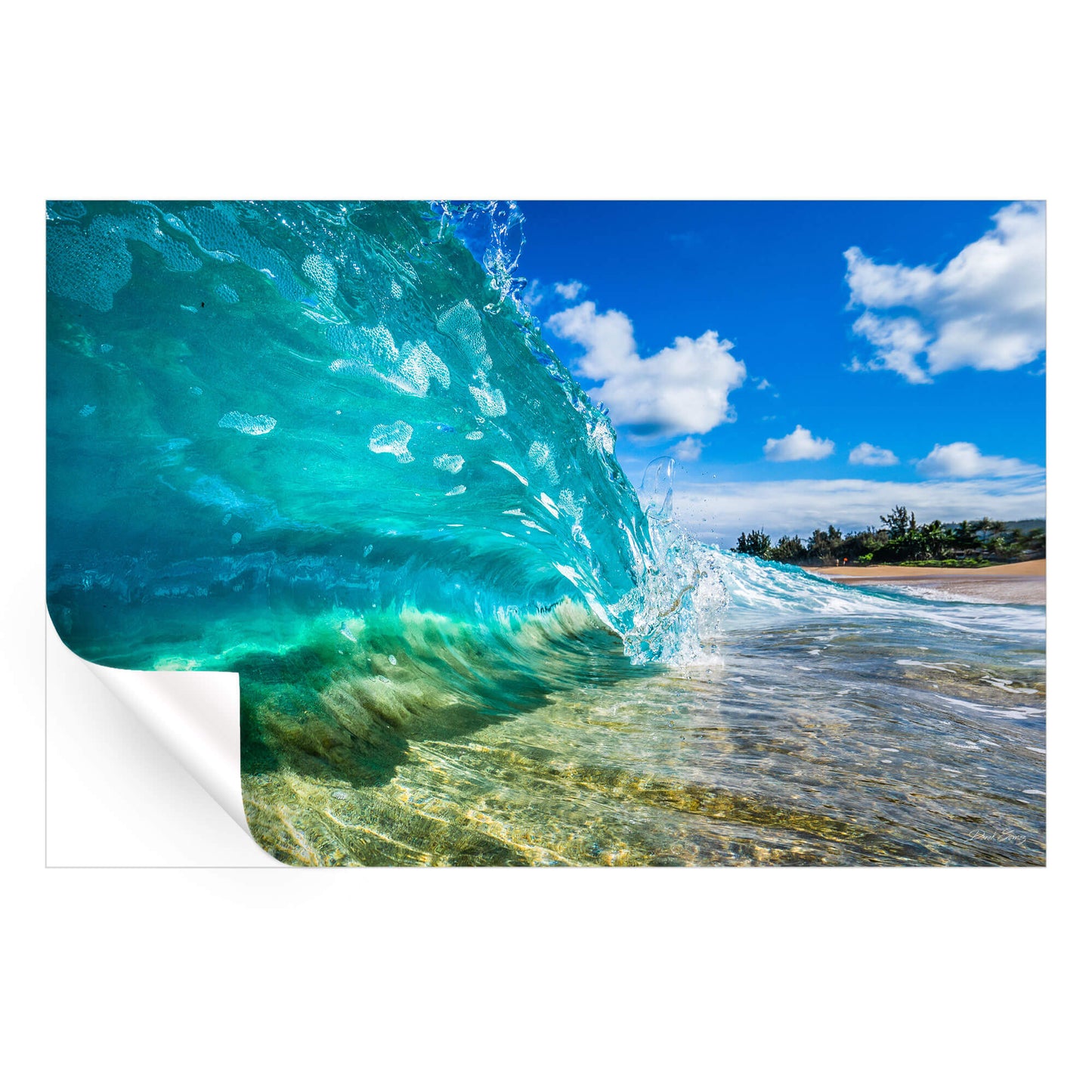 Tropical Shore Break