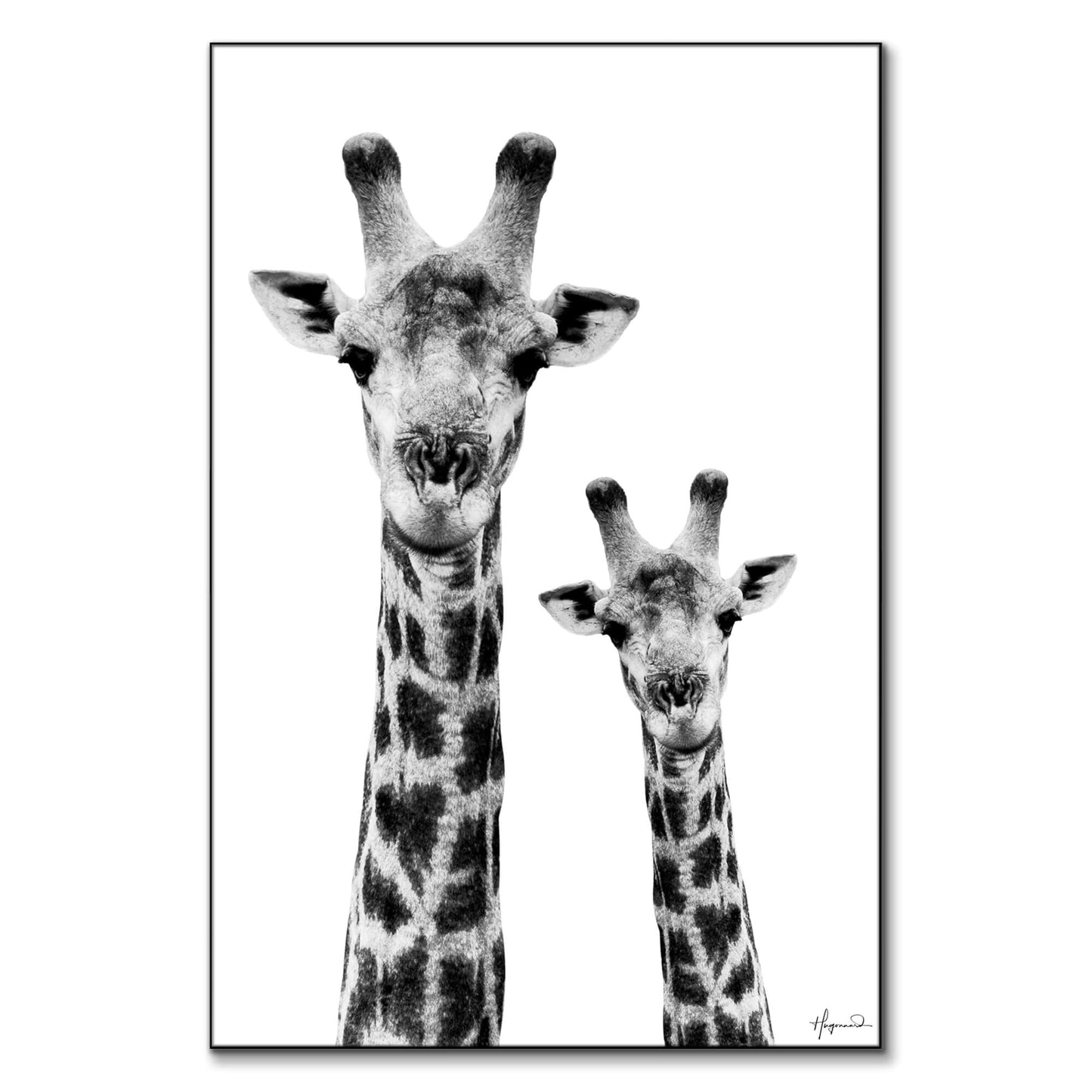 Giraffe and Baby White Edition
