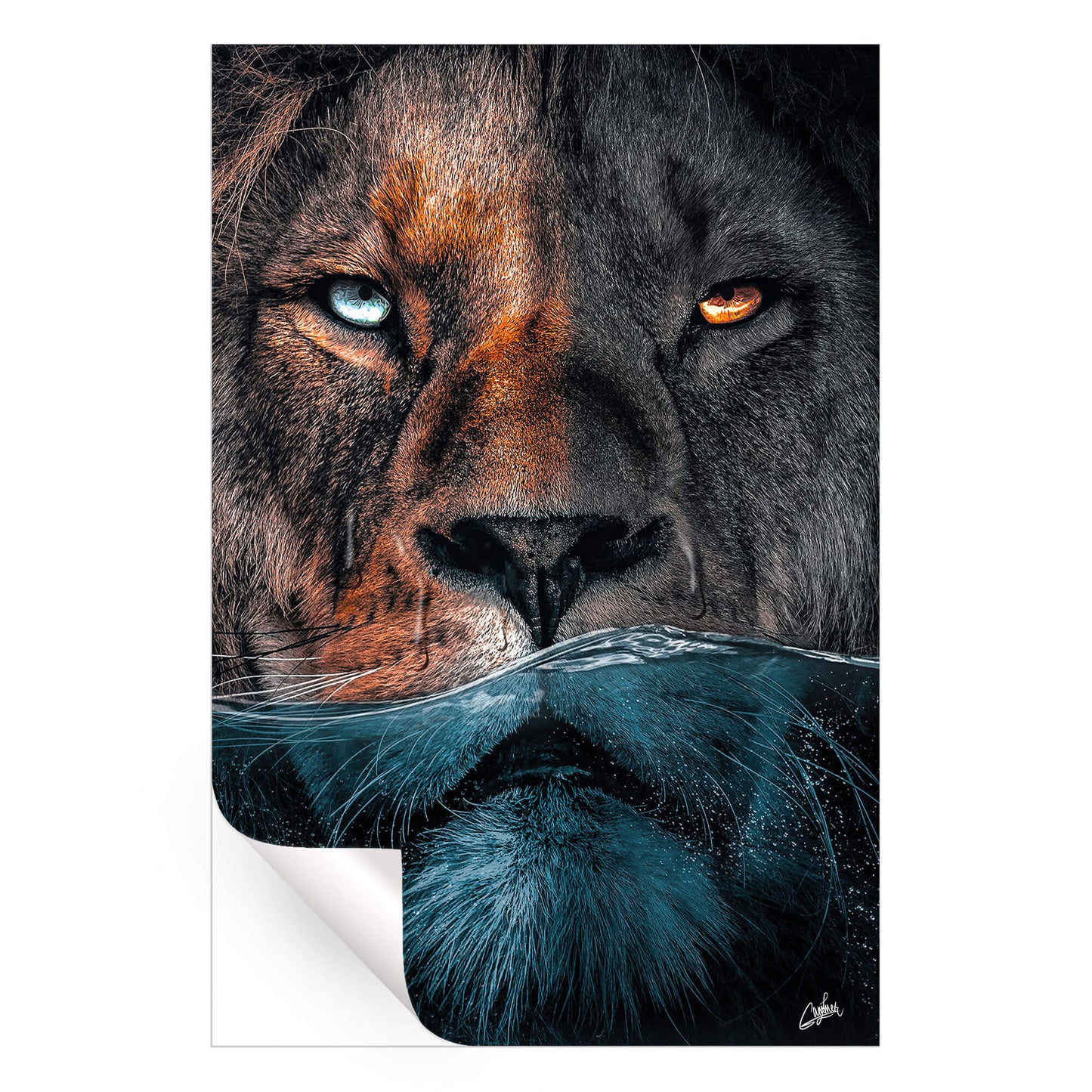 Underwater Lion