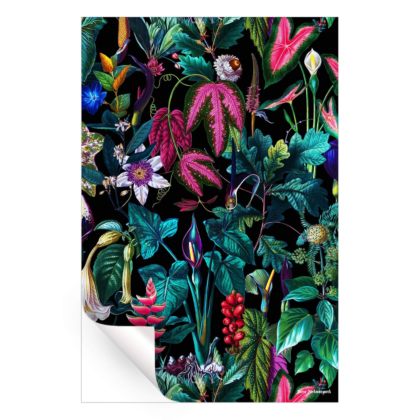 Tropical Magic Forest VI