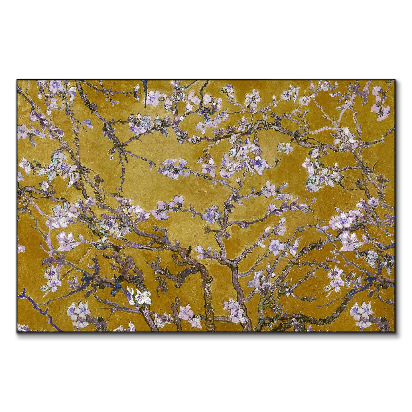 Almond Blossom