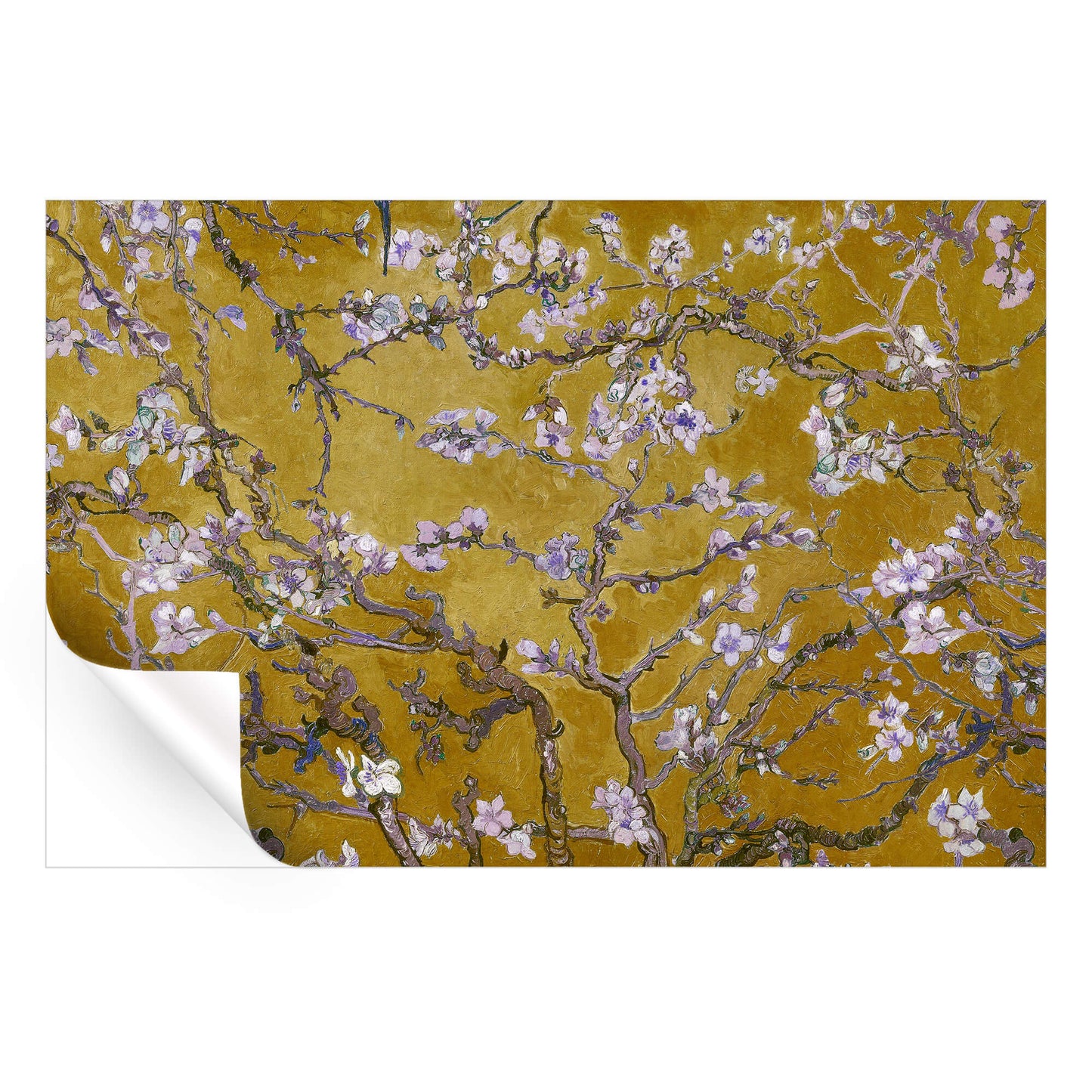 Almond Blossom