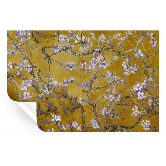 Almond Blossom