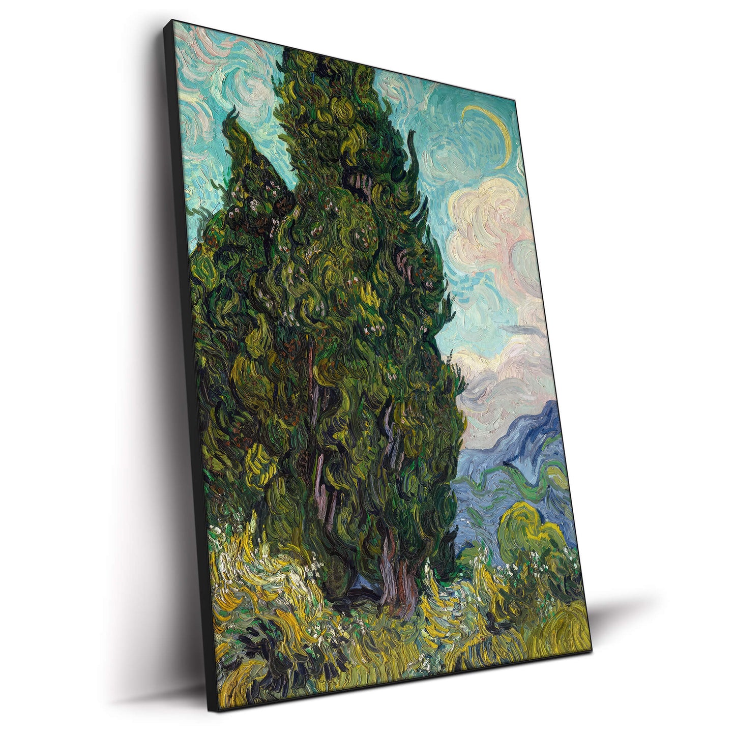 Cypresses