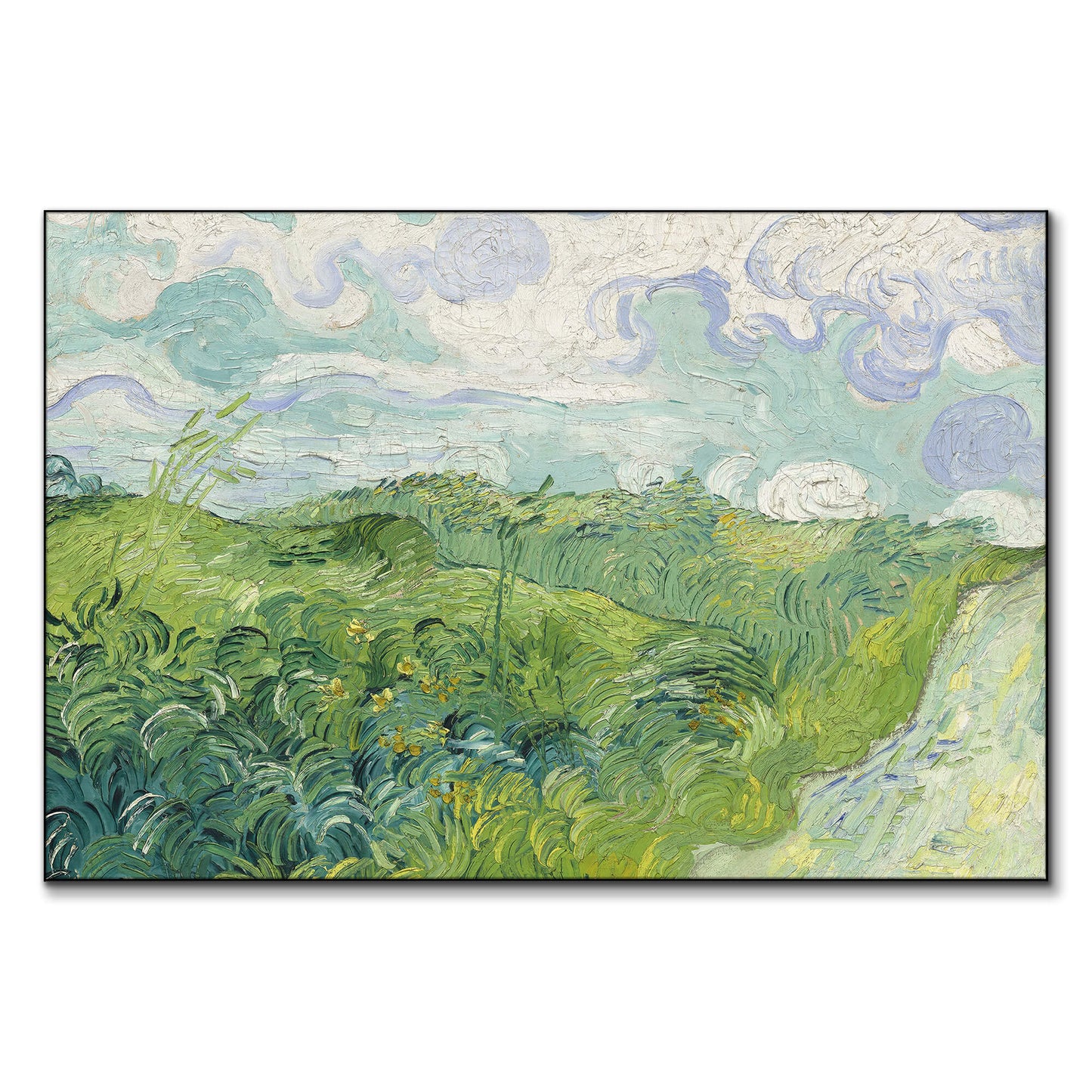 Green Wheat Fields, Auvers