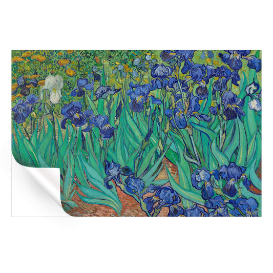 Field of Irises