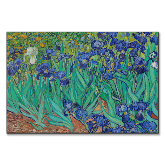 Field of Irises