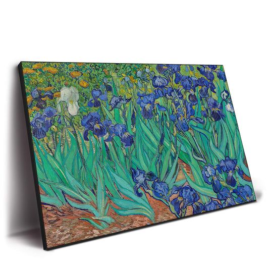 Field of Irises