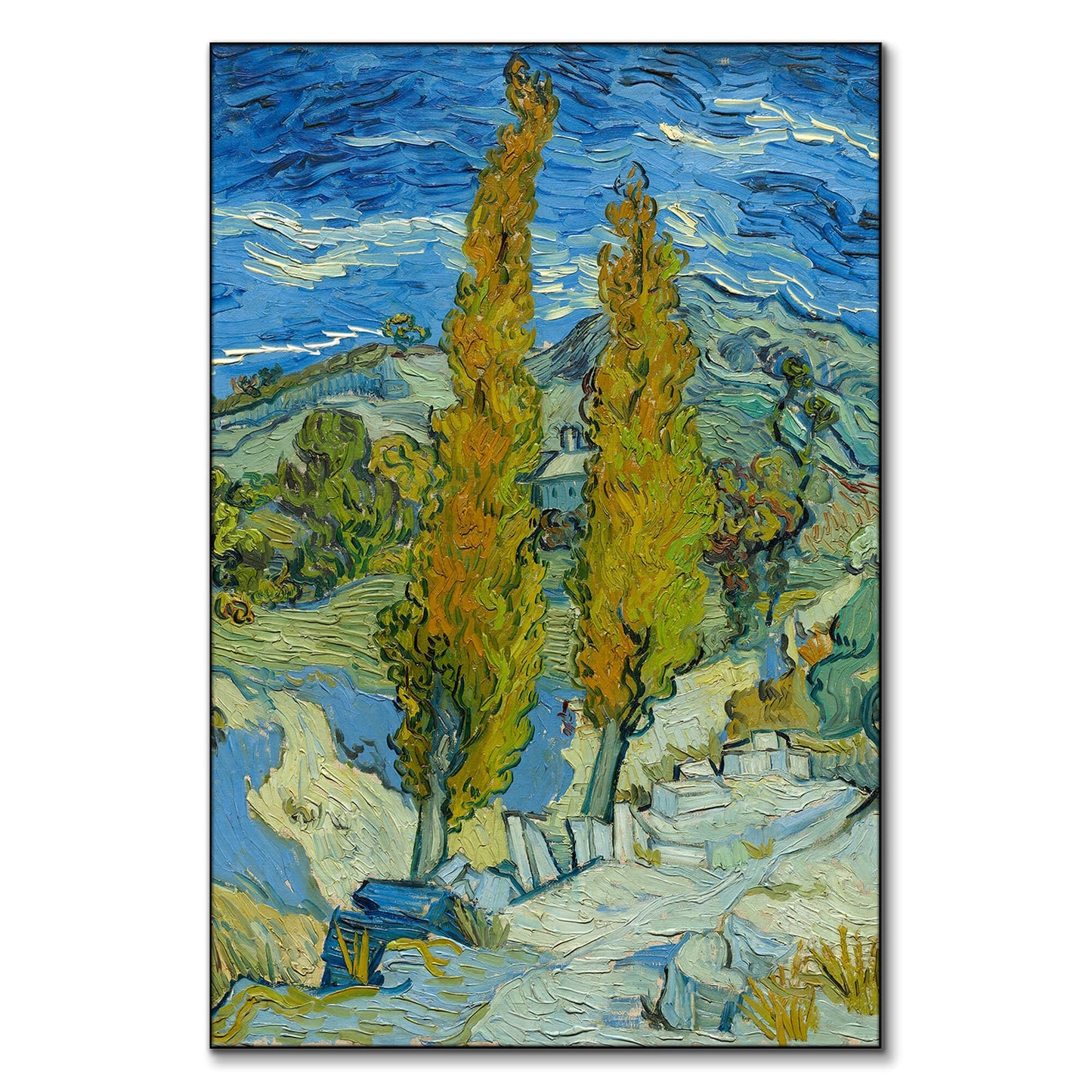 Two Poplars in the Alpilles near Saint Remy