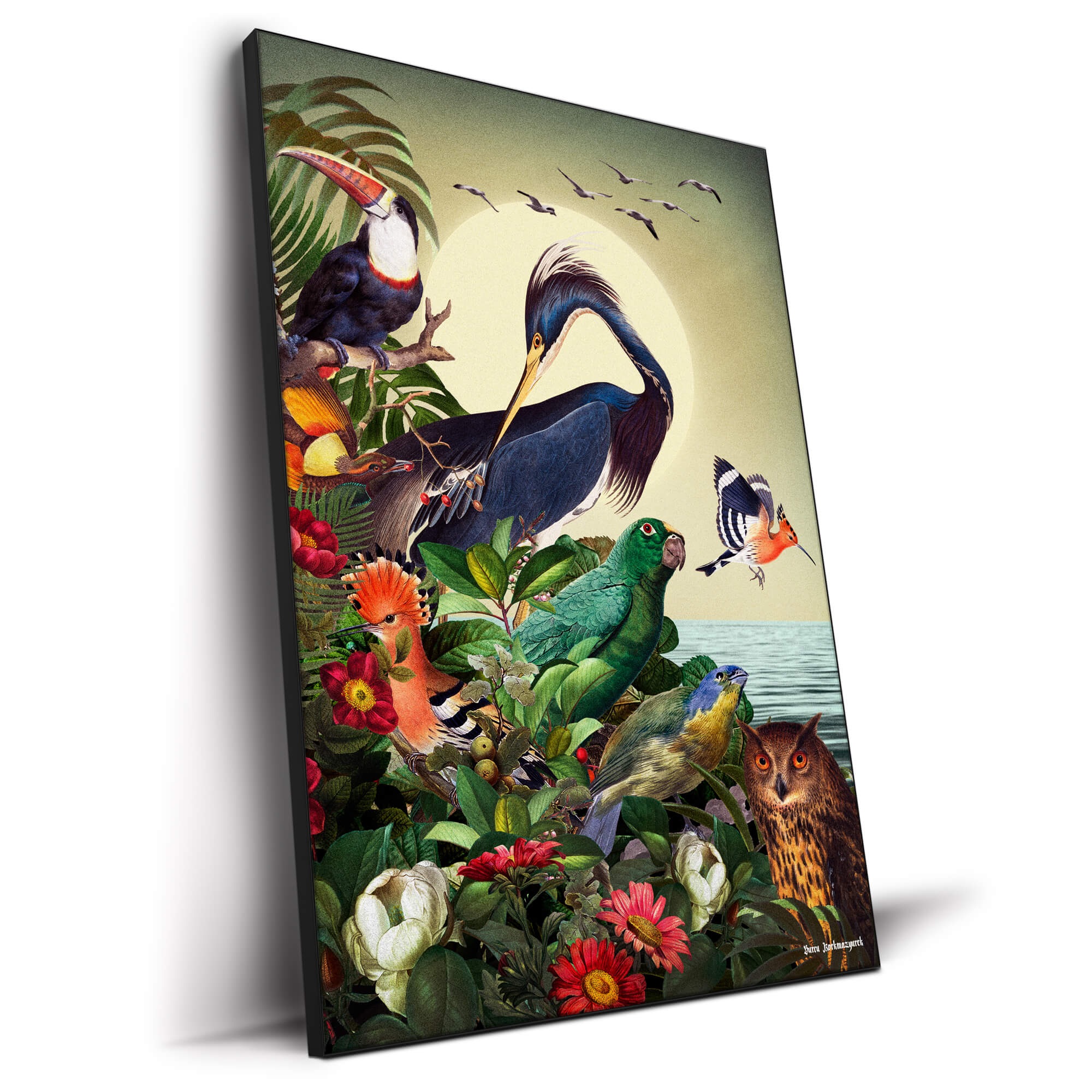 Vintage Bird Illustration | BIG Wall Décor