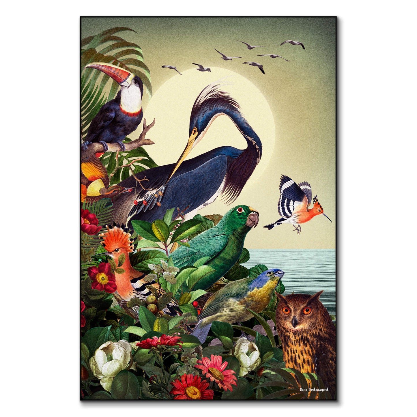 Birds World