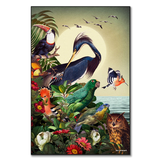 Birds World