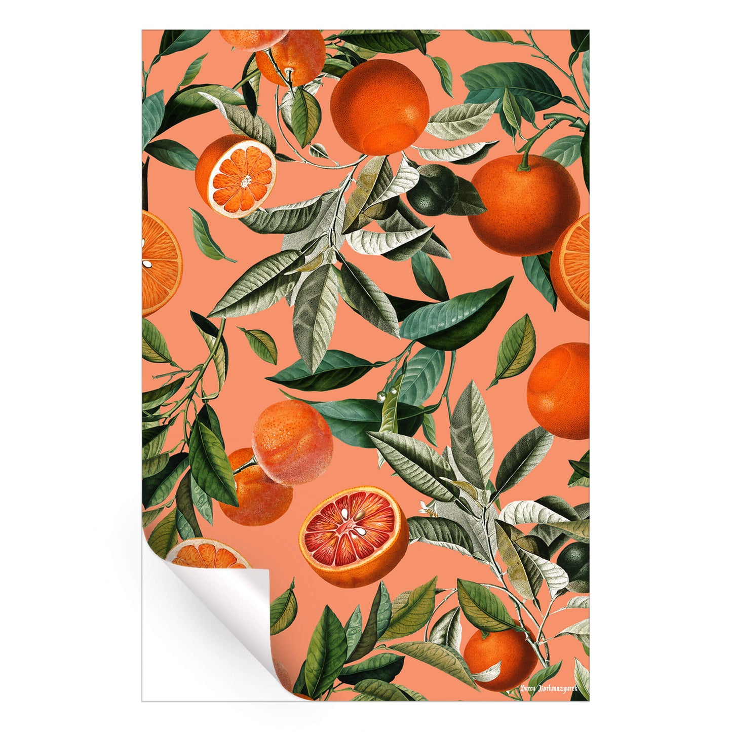 Vintage Fruit Pattern