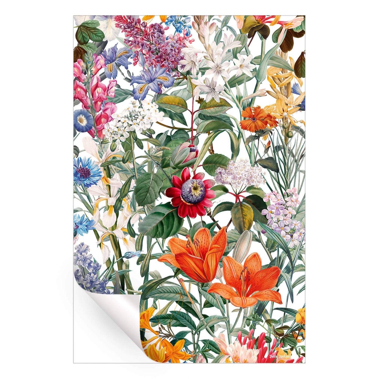 Vintage Garden IX