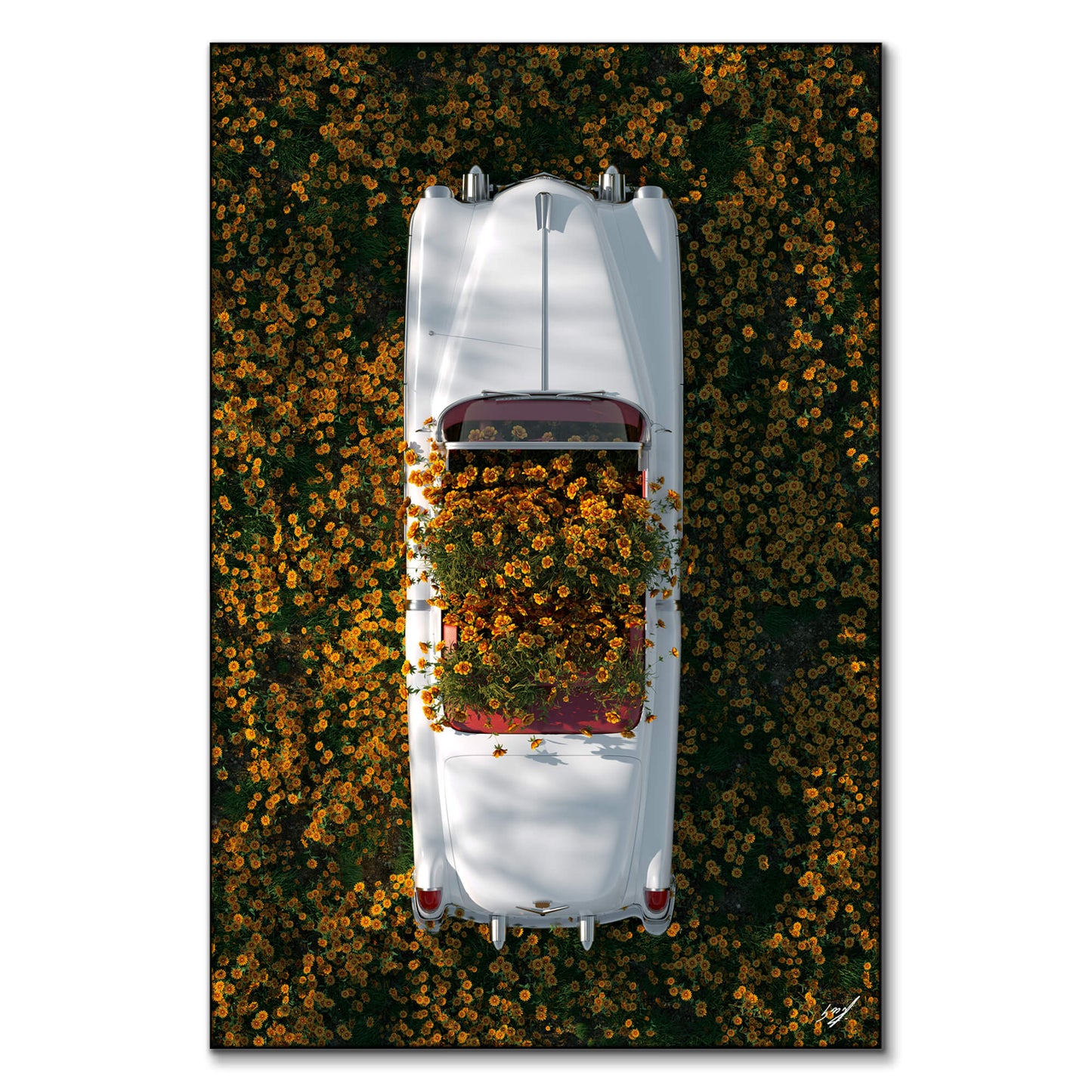 Cadillac in Flowers
