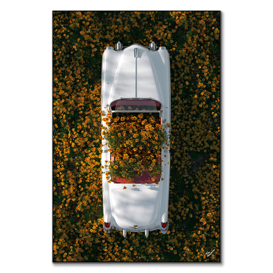 Cadillac in Flowers