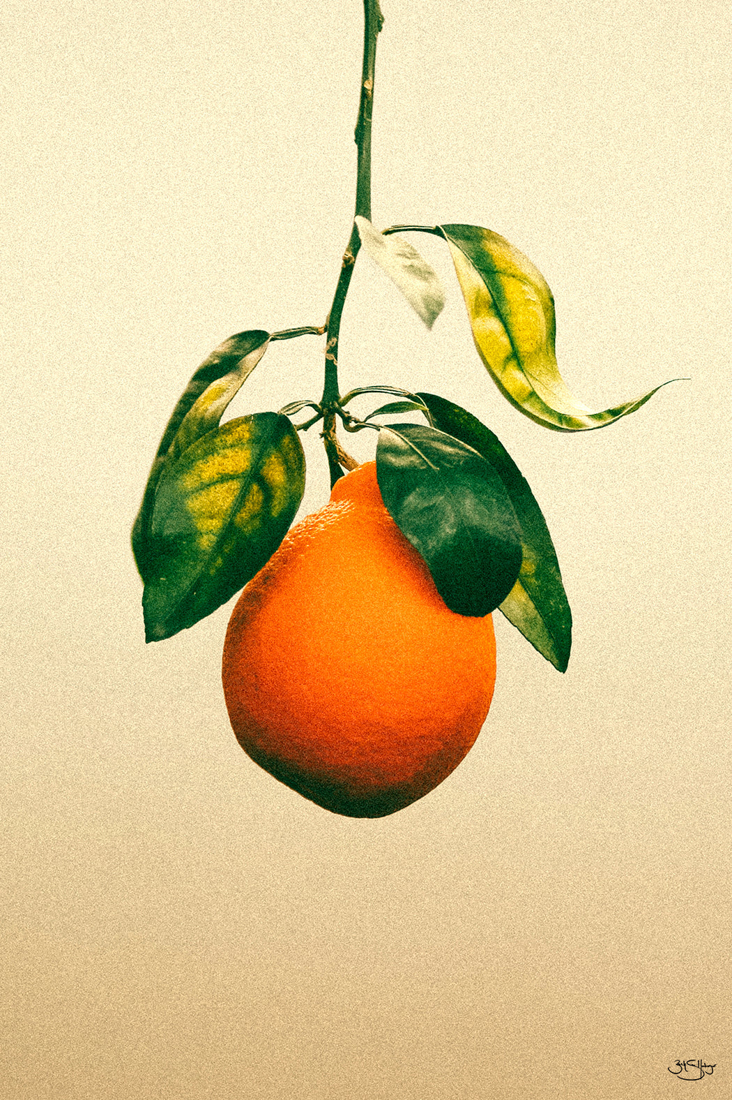 California Orange