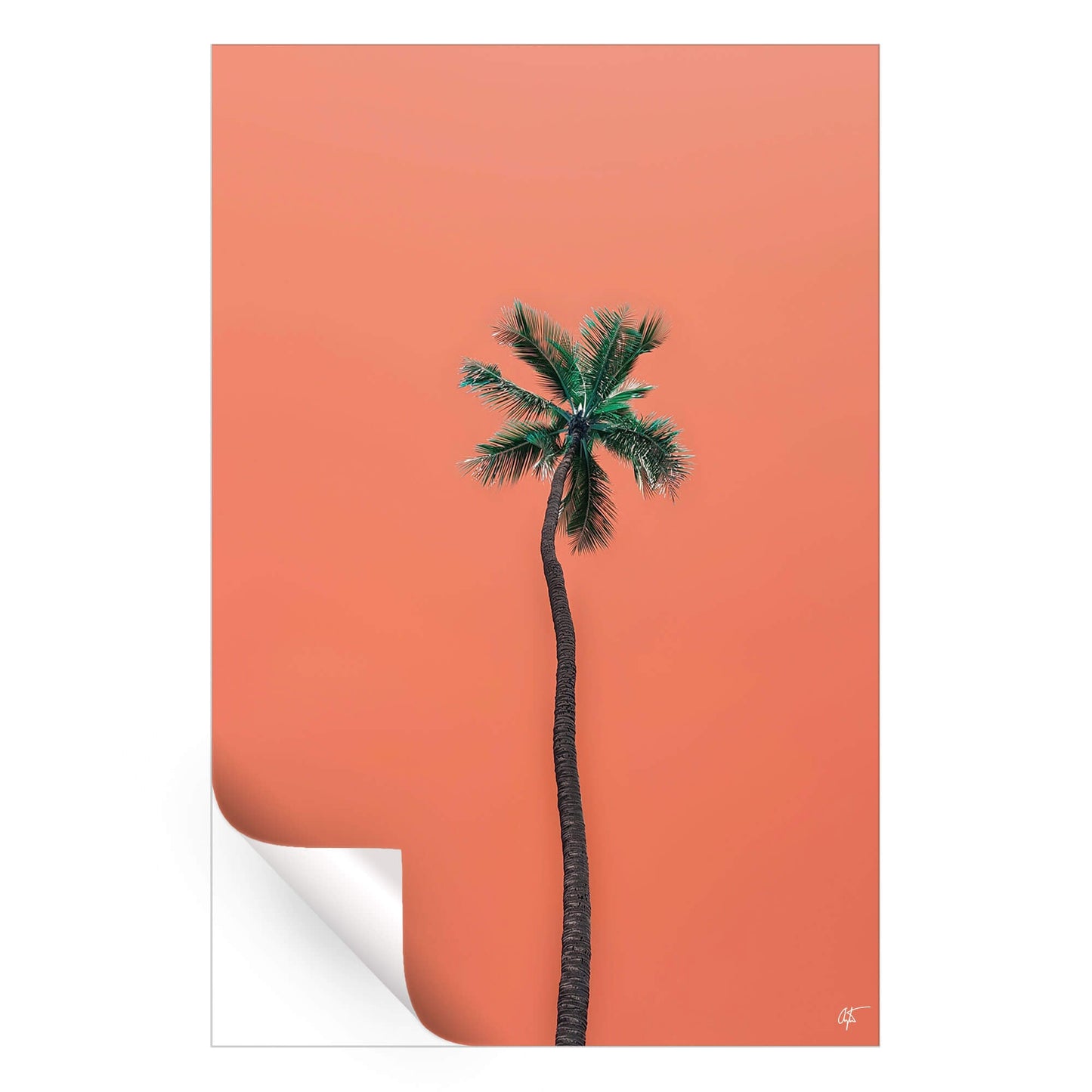 Waikiki
