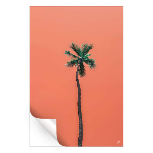 Waikiki