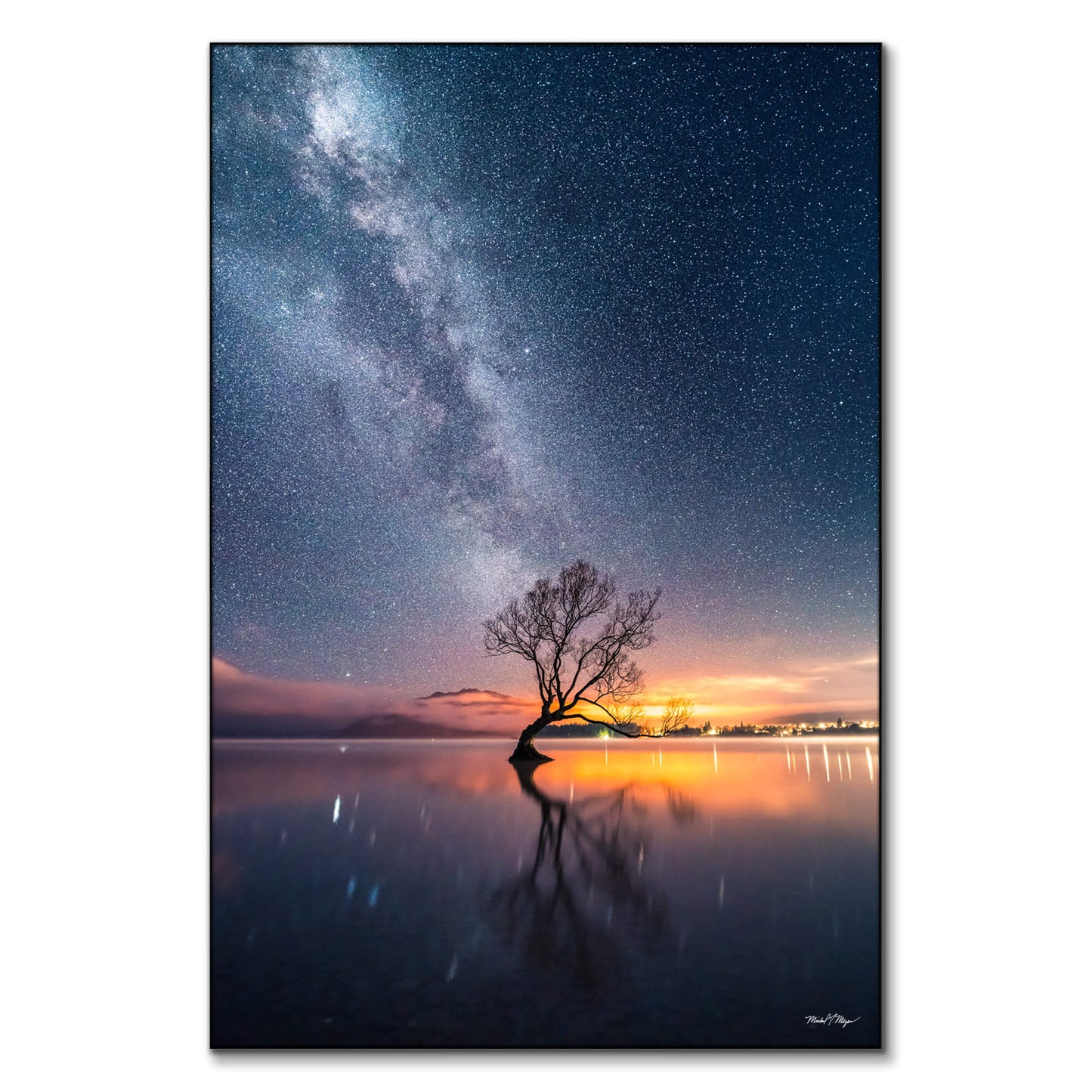 Wanaka Tree Milky Way