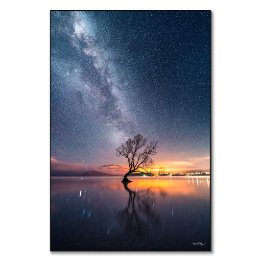 Wanaka Tree Milky Way