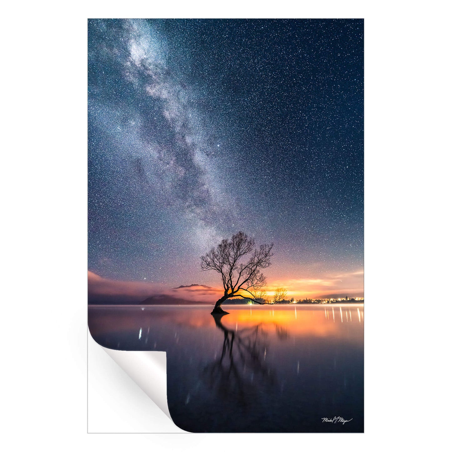 Wanaka Tree Milky Way