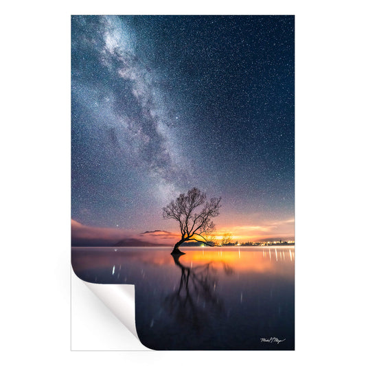 Wanaka Tree Milky Way