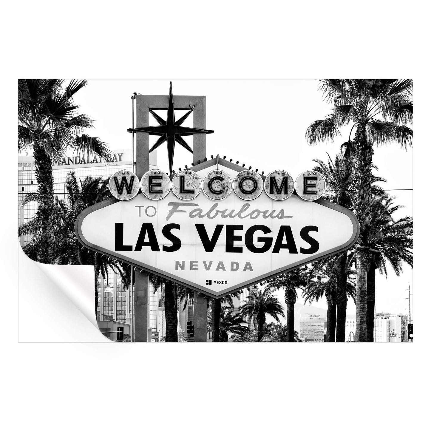 Welcome to Fabulous Las Vegas